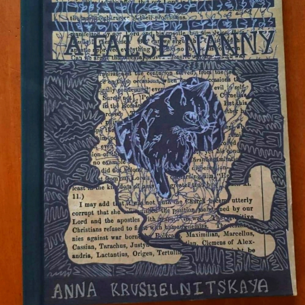 "A False Nanny" book of poetry by Anna Krushelnitskaya